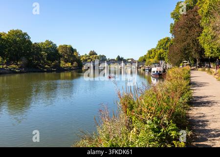 Ein Skiff rudert den Fluss Thames hinauf zur Richmond Bridge, Richmond, Westlondon Stockfoto