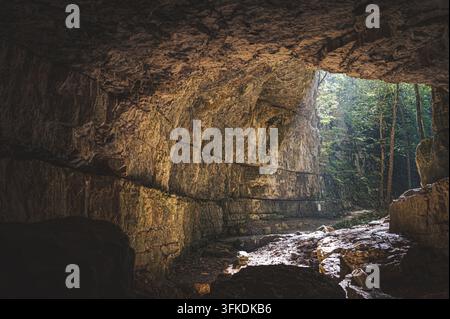 Blick aus einer großen felsigen Höhle hinaus auf einen hell sonnenbeschienenen Wald mit üppigen grünen Bäumen. Licht strömt in die dunkle Höhle und erhellt Stockfoto