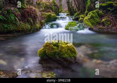 Langzeitaufnahme eines kleinen kristallklaren Waldbachs mit kleinen Kaskaden und Wasserfällen, die über moosbewachsene Felsen und Steine fließen in einem lus Stockfoto