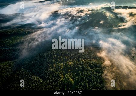 Luftaufnahme einer sich windenden Straße, die sich durch einen dichten, nebelbedeckten Wald im frühen Morgenlicht schlängelt. Üppige grüne Bäume mit Nebelschichten, die eine traumhafte Atmosphäre schaffen. Stockfoto