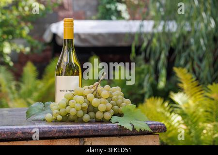 Weißweinflasche hinter grünen Traubenbüscheln und Weinblättern auf einer steinbedeckten Ziegelkante, mit verschwommenen Farnen und Garten Grün im Hintergrund. Stockfoto