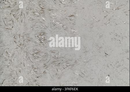 Nahaufnahme einer grauen Fiberglasoberfläche mit sichtbaren Glasfasern. Stockfoto