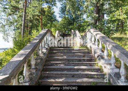 Steintreppe mit Geländer in einem Park Stockfoto