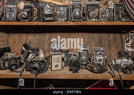 Sortiment von Vintage-Kameras, vom Balg bis zu TLR-Modellen, Museum, Weinhaus Radosavijevic, Dorf Rogijevo, Serbien Stockfoto