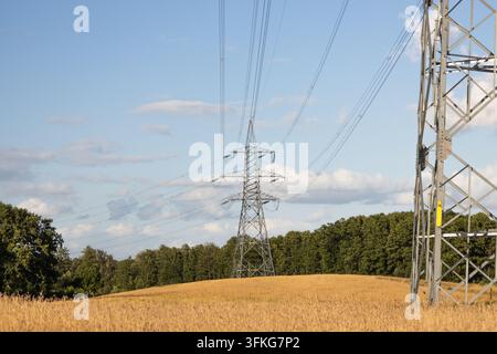 Hochspannungsmasten über einem ländlichen Feld Stockfoto
