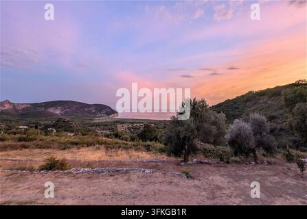 Weite Landschaft in der Dämmerung mit trockenem Buschland im Vordergrund, vereinzelten Olivenbäumen und niedriger Steinmauer, sanfte Hügel im Mittelgrund und pastellrosa und la Stockfoto