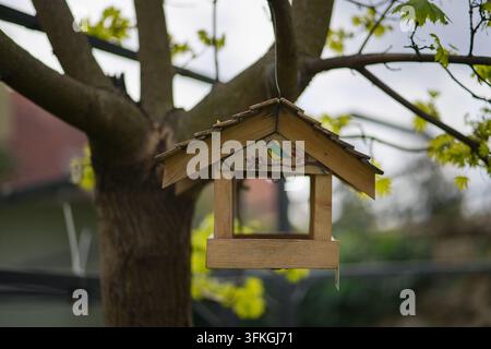 Holz-Vogelfutterstation, die an einem Ast in einem Garten hängt, Vogelhaus-Wildtierpflege- und Futterstation, Herbstnatur, Slowakei. Stockfoto