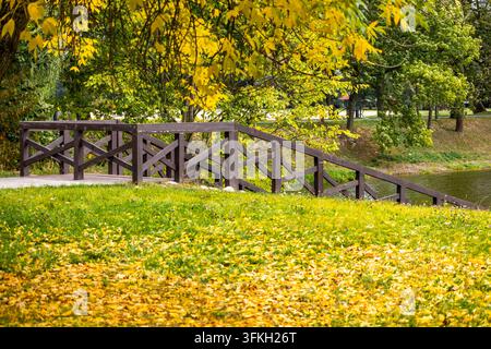 Eine dunkle Holzbrücke überspannt eine grüne Wiese, die mit gefallenen gelben Herbstblättern unter belaubten Baumästen bedeckt ist. Das saisonale Laub erzeugt ein lebendiges Auto Stockfoto
