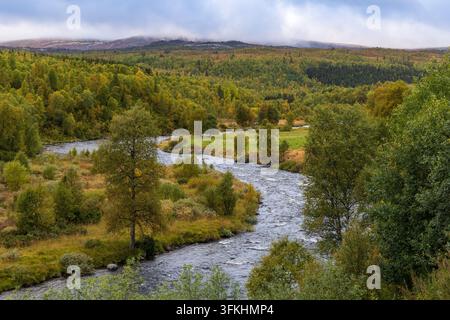 Hesja-Fluss schlängelt sich durch herbstliche Landschaft in Hessdalen, Norwegen Stockfoto