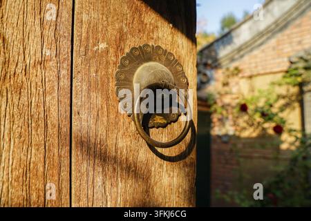 Holztür mit Kupferklockern eines Siheyuan-Hofhauses und Rosen im Hof Stockfoto