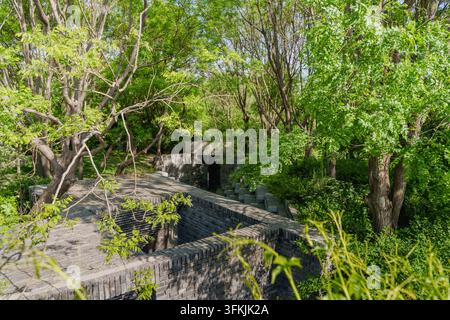 Luftaufnahme von grauer Ziegelgartenarchitektur, umgeben von üppigen grünen Bäumen Stockfoto