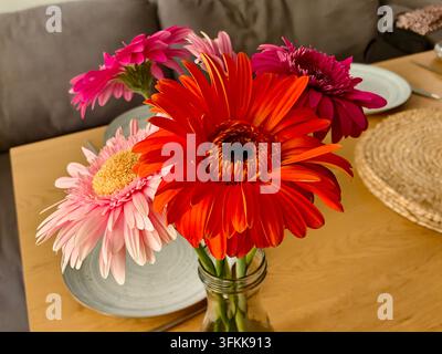 Wunderschönes Bouquet aus hellen bunten Gerbera-Blumen in einer durchsichtigen Glasvase und weißen Tellern auf einem Holztisch in einem gemütlichen Wohninterieur. Stockfoto