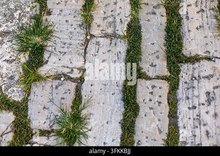 Verwittertes Steinpflaster mit Gras in den Fugen. Nahaufnahme von verwittertem Steinpflaster mit grünem Gras und Moos, das zwischen unregelmäßigen Fugen wächst. Stockfoto
