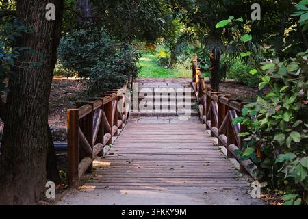 Eine hölzerne Fußgängerbrücke und Stufen führen durch dichtes Grün im Retiro-Park in Madrid, Spanien. Der schattige Gehweg schafft eine ruhige, abgeschiedene Gartenszene. Stockfoto