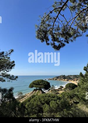 Pitoreske Atlantikhütte von Kiefern eingerahmt, mit türkisfarbenem Wasser, sandigem Strand und felsigen Klippen an der Algarve-Küste im Süden Portugals Stockfoto