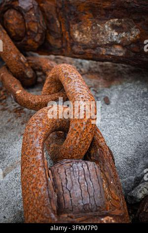 Nahaufnahme eines großen, verwitterten, rostigen Metallscharniers mit einem Holzdorn, detaillierte oxidierte Textur, die Korrosion, Verfall und maritimes Alter zeigt Stockfoto