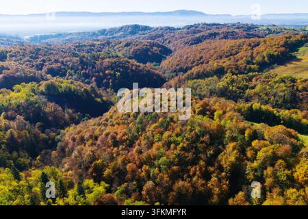 Luftaufnahme eines wunderschönen Herbstwaldes in lebendigen Farben Stockfoto