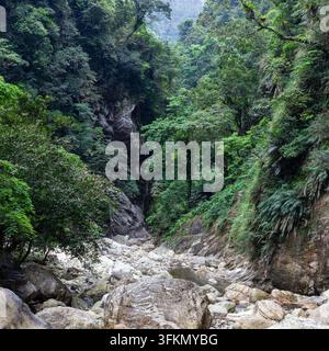 Sanzhanxi-Schlucht im Taroko-Park. Üppige tropische Vegetation bedeckt steile Berghänge. Steiniges Flussbett am Grund eines Tals. Stockfoto
