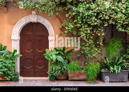 Alte gewölbte Holztür, eingerahmt von üppigen grünen Pflanzen und Kletterranken in einem ruhigen italienischen Innenhof. Architektur- und Wohnkonzept. Stockfoto