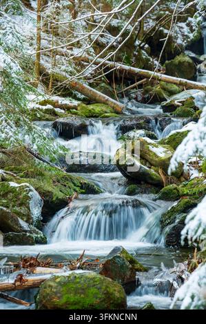 Kleiner Wasserfall, der über mit Schnee und Eis bedeckte Felsen in Sumava Nationalpark, Tschechische Republik, fließt und eine friedliche Winterlandschaft schafft. Stockfoto