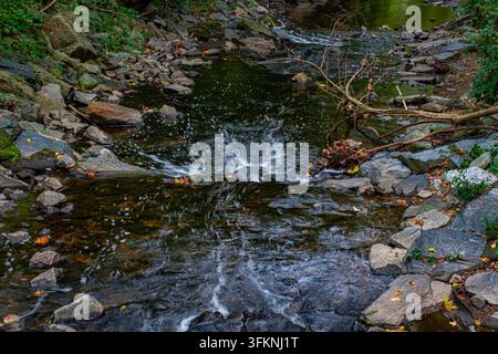Ein kleiner, flacher Bach oder Fluss, der über eine Reihe von niedrigen, stufenartigen Steinabfällen oder kleinen Felsbändern fließt, umgeben von grüner Vegetation und Felsen Stockfoto