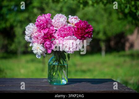 Wunderschönes Blumenbouquet aus Pfingstrosen in einem Glasgefäß mit Wasser im Garten, Ukraine. Rote, rosa und weiße Pfingstrose albiflora oder Paeonia officinalis, Nahaufnahme Stockfoto