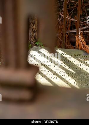 20. September 2026, Loweswater, Vereinigtes Königreich. Sonnenlicht strömt durch Äste und wirft gestreifte Schatten auf einen alten, verwitterten Grabstein mit Inschrift Stockfoto