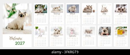 Kleine flauschige Katzen sind auf zwölf monatlichen Terminplanseiten dieses Jahreskalenders für 2027 abgebildet Stockfoto