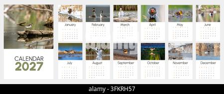 Monatsplanungsseiten, die schöne Wasservögel in der Natur im Laufe des Jahres 2027 präsentieren Stockfoto