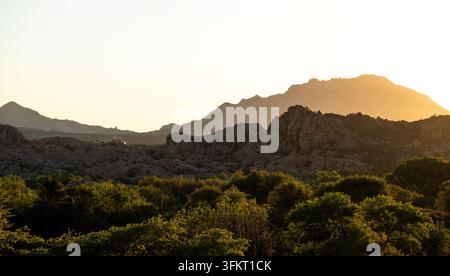 sonniger Bergkamm erstreckt sich über raues Gelände, während warmes goldenes Licht während des Sonnenuntergangs über felsige Hügel und niedrige Vegetation flutet und lange Schatten wirft Stockfoto