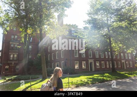 Sonnenbeschienenes roten Backstein-Campusgebäude mit gewölbtem Eingang und großen Fenstern, eingerahmt von hohen Bäumen und grünem Laub an einem klaren Tag, warmes Sonnenlicht wirft helle Schatten Stockfoto