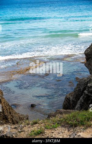 Weißer Schaum bricht über dunkle Vulkanfelsen mit grünem Seetang und Gezeitenbecken auf Kauai, türkisches Wasser wirbelt nahe der grasbewachsenen Klippenkante unter klarem Blau Stockfoto