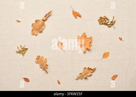 Trockene bunte Herbstblätter flach auf beigem Leinenstoff Stockfoto