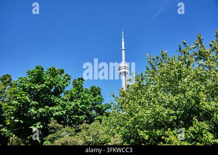 CN Tower durch Bäume Stockfoto