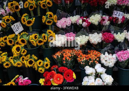 New York, USA. 24. Sep., 2026. Eimer mit frisch geschnittenen Blumen säumen die Bordsteindisplay vor einem lokalen Nachbarschaftsmarkt in New York, Donnerstag, 24. September 2026. Robyn Stevens Brody/Sipa USA. Credit: Sipa USA/Alamy Live News Stockfoto
