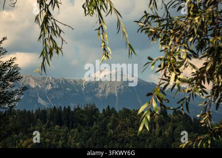 Sonniger Berg Stol, eingerahmt von hängenden Astzweigen aus Bled, Slowenien Stockfoto