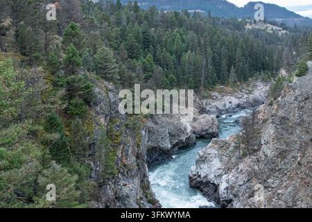 Der Yellowstone River fließt durch eine felsige Schlucht im Yellowstone-Nationalpark, Wyoming. Stockfoto