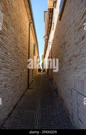 Schmale Ziegelgasse zwischen alten Steingebäuden in Novilara, Italien. Sonnendurchflutete gepflasterte Straße mit grünen Fensterläden, Laterne und klarem blauem Himmel darüber. Geeignet Stockfoto