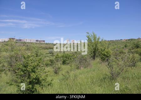 Grüne Tal mit verstreuten Bäumen und neuen Wohnungsgebäuden im Bau am Horizont. Stockfoto