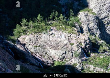 Kleine Wasserfälle stürzen über sonnenbeschienene Felsplatten, umgeben von grünen alpinen Sträuchern und jungen Kiefern in einem schattigen Bergtal, Korsika, Frankreich Stockfoto