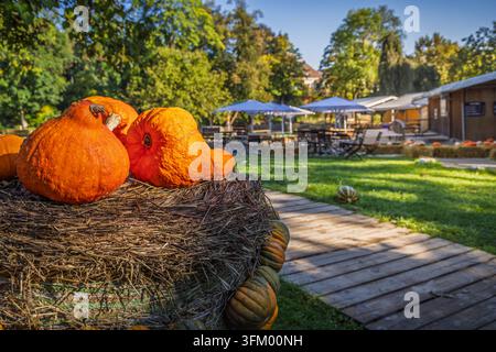Verschiedene Erbschaftskürbisse, die auf einem rustikalen Heuballen in einer sonnigen Herbstgartenszene ausgestellt sind Stockfoto