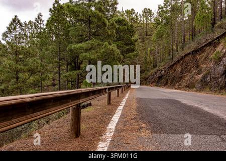 Ruhige Asphaltstraße mit einer hölzernen Sicherheitsbarriere, die an einem bewölkten Tag in Gran Canaria durch einen dichten Kanarischen Kiefernwald führt. Stockfoto