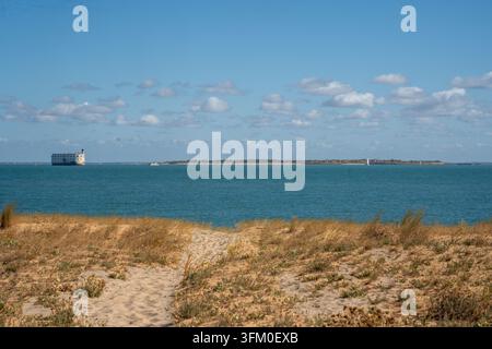 Fort Boyard erhebt sich aus dem Atlantischen Ozean zwischen der Ile d'Aix und der Ile d'Oleron, gesehen durch Zweige von Küstenkiefern und Dünenvegetation. Bui Stockfoto