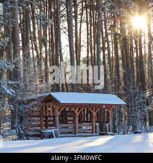 Hölzerner Pavillon im Winterwald mit schneebedecktem Dach und heller Sonne, die durch hohe Kiefern strahlt und warmes Licht erzeugt Stockfoto