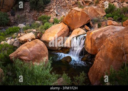 Bright Angle Creek fließt über einen kleinen Wasserfall im Grand-Canyon-Nationalpark Stockfoto
