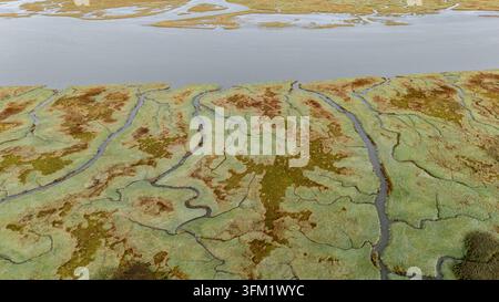 Luftbild der Gezeitenlandschaft von Saeftinghe, Niederlande, mit der Schelde, die ein natürliches Habitat schafft Stockfoto