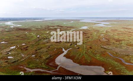 Naturreservat Saeftinghe zeigt weitläufige Salzmarschen mit gewundenen Wasserläufen und vielfältiger Vegetation aus der Luft Stockfoto
