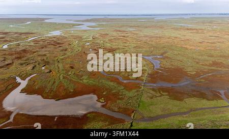 Naturreservat Saeftinghe zeigt aus der Luft weitläufige Feuchtgebiete, windungsreiche Bäche und vielfältige Sumpfvegetation Stockfoto