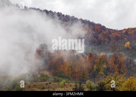 Morgendlicher Nebel zieht über einen herbstlichen Waldhang in Georgia. Stockfoto