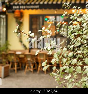 Pariser Caféterrasse mit Sitzgelegenheiten im Freien, die eine charmante europäische Stadtatmosphäre schaffen, gesehen durch erfrischendes grünes Laub Stockfoto